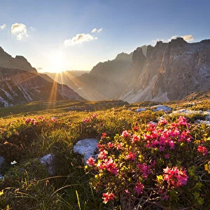 Dawn on Sassovecchio Valley with Crode Fiscaline, Dolomites, Dobbiaco, South Tyrol