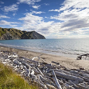 Dramatic wood-lined beach, Mahia Peninsula, North Island, New Zealand