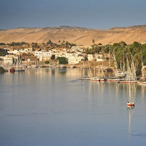 Egypt, Aswan, Feluccas and Nile River ad dawn