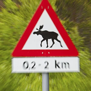 Elk Road Sign, Nordland, Norway