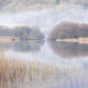 Elter Water, Lake District National Park, Cumbria, England, UK