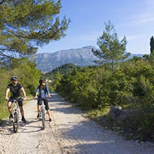Europe, Balkans, Croatia, Korcula, cyclists mountain biking around Korcula island (MR)