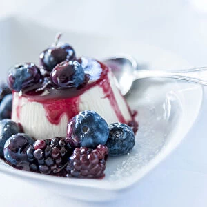 Europe, Italy. Panna cotta with berries