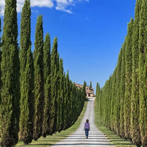 Europe, Italy, Tuscany, Toscana, Cypress alley, woman walking in alley