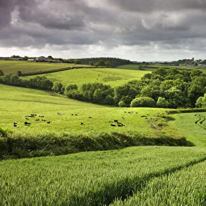 Farmland in summertime, Morchard Bishop, Devon, England. Summer (June) 2009