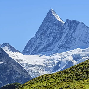 Finsteraarhorn, Grindelwald, Berner Oberland, Canton Berne, Switzerland