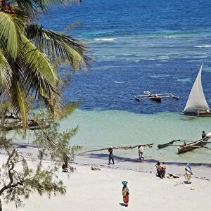 Fishermen bring home their catch at mid-day on the coconut palm-fringed Msambweni beach