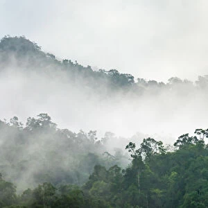 Foggy jungle landscape in Phong Nha-Ke Bang National Park, Bo Trach District, Quang
