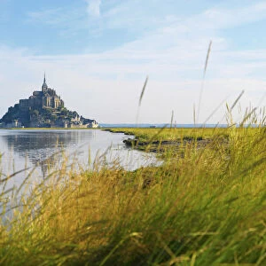 France, Normandy, Le Mont Saint Michel, grass in foreground