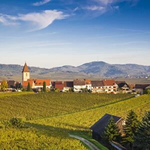 Germany, Baden-Wurttemburg, Burkheim, Kaiserstuhl Area, vineyards elevated village view