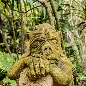Gnome Figure at Queen Elizabeth II Botanic Park, North Side, Grand Cayman, Cayman Islands