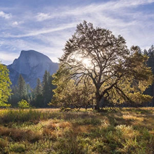 Half Dome from Cooks Meadow, Yosemite Valley, California, USA. Autumn (October) 2015