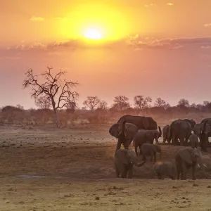 Africa Collection: Namibia