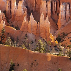 Detail of hoodoos and trees, Sunset Point, Bryce Canyon National Park, Utah, USA