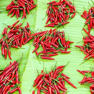 Hot chili peppers, Kyaing Tong market, Burma (Myanmar)