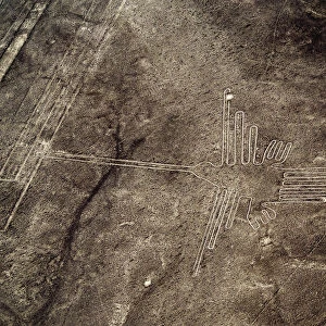 The Humming Bird Geoglyph, aerial view, Nazca, Ica Region, Peru