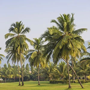 India, Goa, Rajbach beach, Golf course at Liat hotel