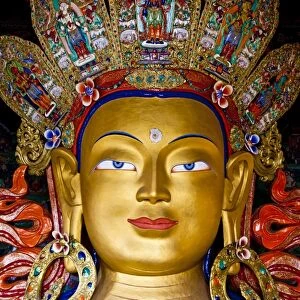 India, Ladakh, Thiksey. The immense and beautifully gilded Maitreya Buddha in the Chamkhang temple at