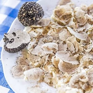 italy, Piedmont, black summer truffles over fresh cheese