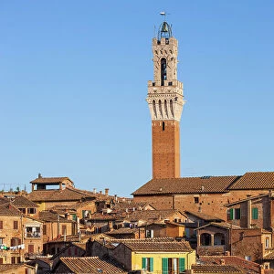 Italy, Tuscany, Siena town, Torre del Mangia tower