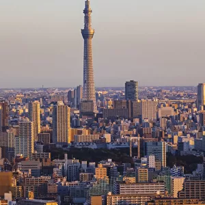 Japan, Honshu, Tokyo, Toyosu Area Skyline and Skytree Tower