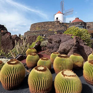 Jardin de Cactus, garden designed by Cesar Manrique in Lanzarote, Canary Island, Spain