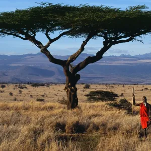 Africa Collection: Kenya
