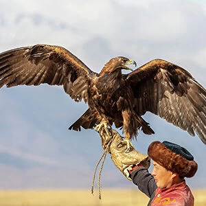 Kyrgyzstan, Issyk Kul Lake, golden eagle hunter