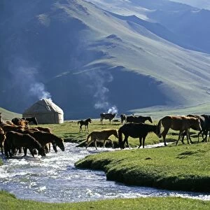 Asia Canvas Print Collection: Kyrgyzstan