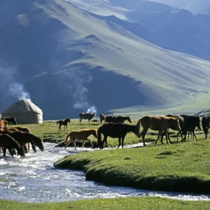 Asian Wall Art Prints: Kyrgyzstan