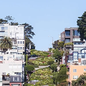 Lombard street, Worlds crookedest street, San Francisco, California, USA