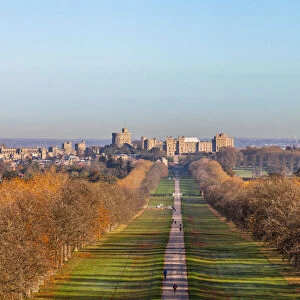 The Long Walk and Windsor Castle, Windsor Great Park, Windsor, Berkshire, United Kingdom