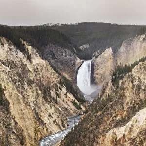 Lower Yellowstone falls, Yellowstone National Park, Wyoming, USA