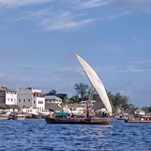 A mashua sails out of the sheltered, natural harbour of Lamu Island