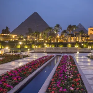 Egypt Greetings Card Collection: Giza