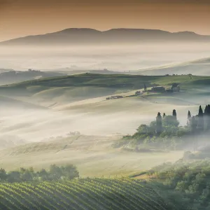 Mist around Belvedere, Val d Orcia, Tuscany, Italy