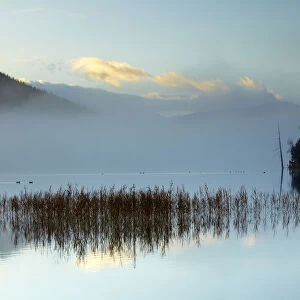 Mist over Loch Pityoulish, Highland Region, Scotland