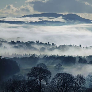 Misty Landscape in Winter, near Windermere, Lake District National Park, Cumbria, England