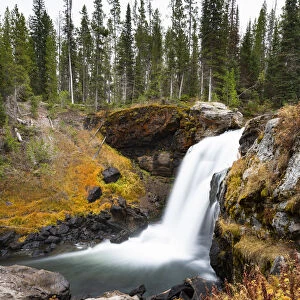 Moose falls, Crawfish Creek, Yellowstone National Park, Wyoming, USA