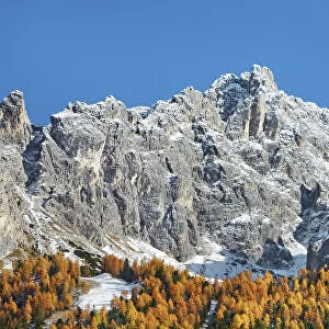 Mountain impression Cadini di Misurina with larch forest - Italy, Veneto, Belluno