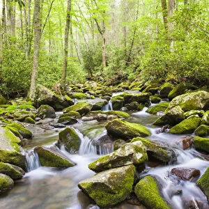 Mountain stream along Kephart Trail, Great Smoky Mountains National Park, North Carolina