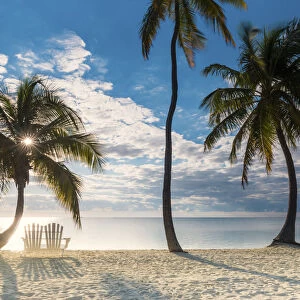 Palm Trees & Love Seat, Islamorada, Florida Keys, USA