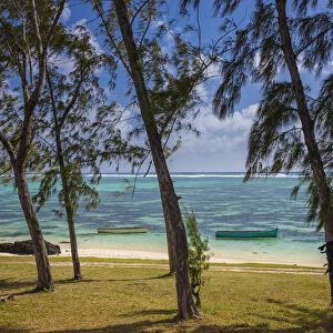 Palmar beach and Casuarina Trees, Flacq, East Coast, Mauritius