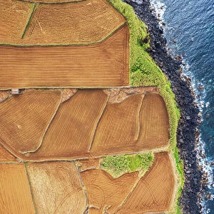 Ploughed field beside the ocean, Lajes do Pico municipality, Pico island (Ilha do Pico), Azores archipelago, Portugal