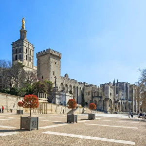 Popes palace with church Notre-Dame des Doms, Avignon, Vaucluse, Provence-Alpes-Cote d'Azur, France