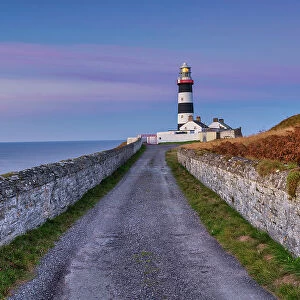 Road to Old Head of Kinsale Lighthouse, Co. Cork, Ireland