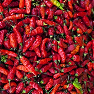 San Salvador, El Salvador, Hot Red Peppers For Sale, Street Market