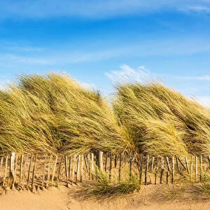 Sand dunes, Camber Sands, East Sussex, England