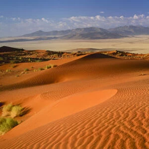 Sand Dunes, Namib Rand, Namibia, Africa