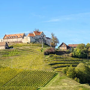 Schloss Staufenberg castle surrounded by vineyards, Durbach, Baden-WAorttemberg, Germany